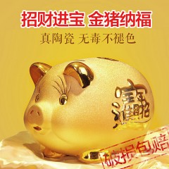 金猪存钱罐陶瓷硬币储蓄罐超大纸币小猪摆件可爱儿童礼物
